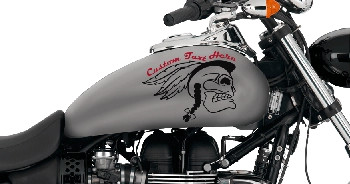 BUY Raging Native Motorcycle Graphics
