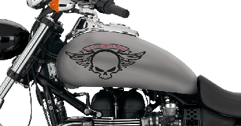 BUY Winged Skull Motorcycle Graphics