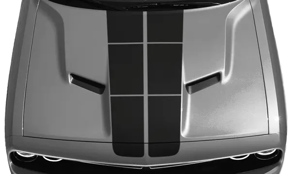 Image of Blacktop '16 Rally Stripes Kit on 2015 Dodge Challenger